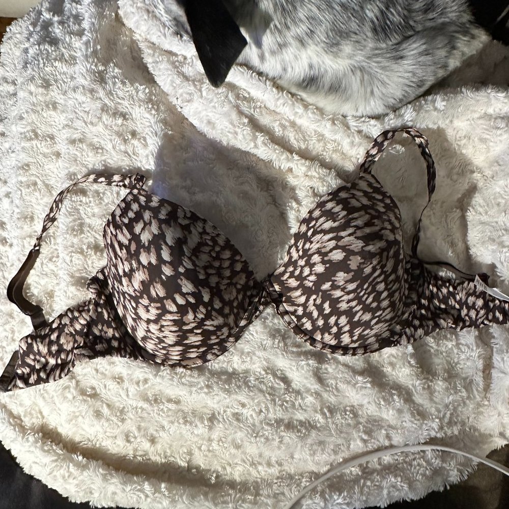 Gillian & Omalley Lined Bra